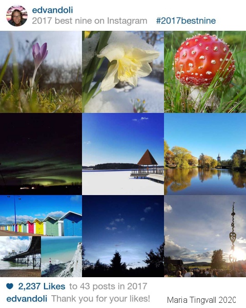 Mina mest gillade bilder på Instagram 2016