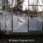 Vinter i växthuset