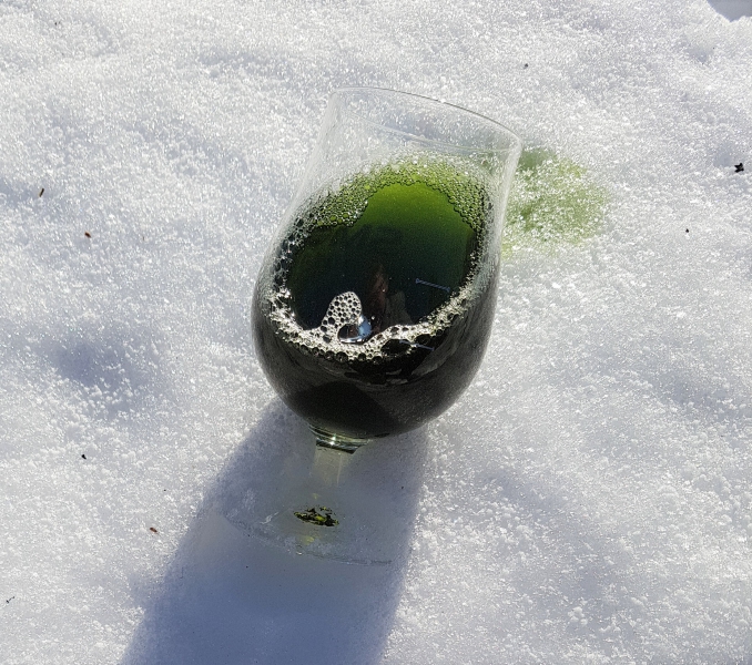 Happy St Patrick’s Day!