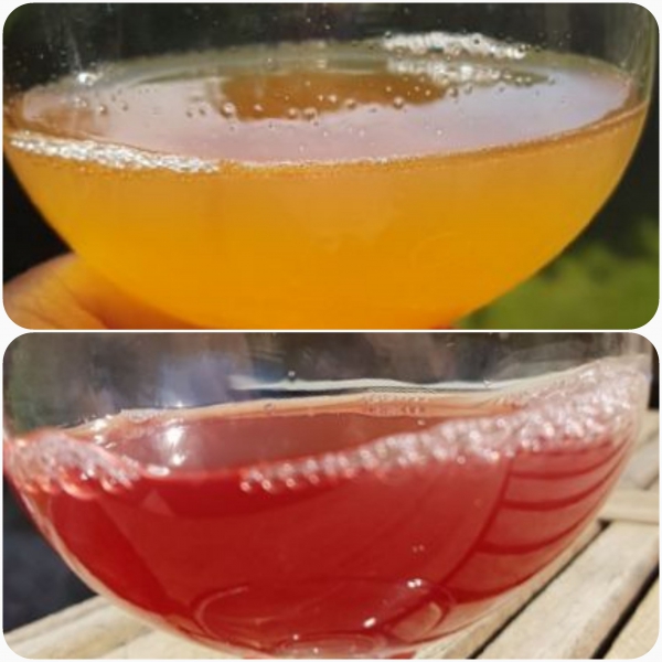 Provar vår fruktöl