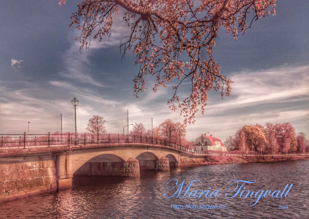 Hasselfors Naturfoto- och filmfestival 2020