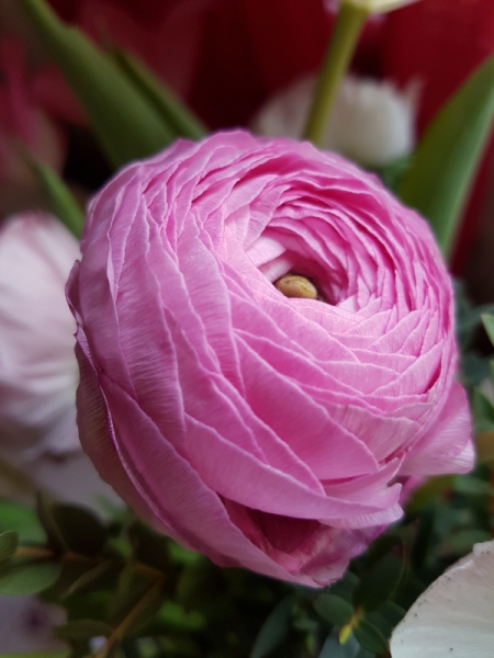 Lite hosta kvar, annars rätt bra